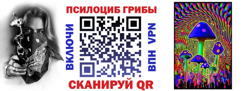 гидра ссылки  Великий Устюг  Псилоцибиновые грибы Psilocybe 